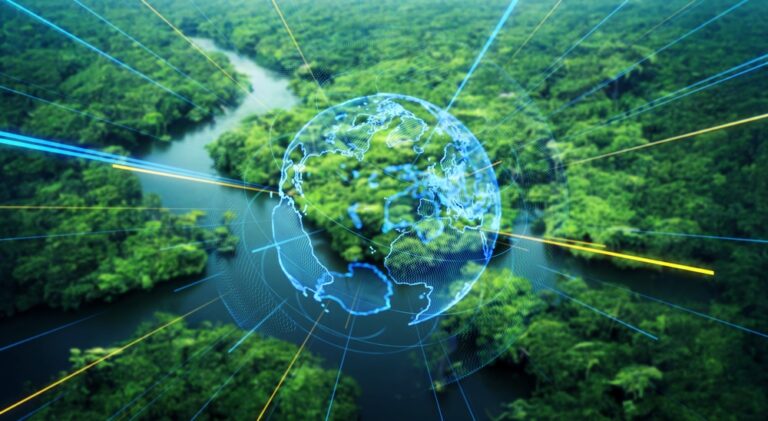 Tropical,Dense,Forest,And,Environmental,Technology.,Wide,Angle,Visual,For